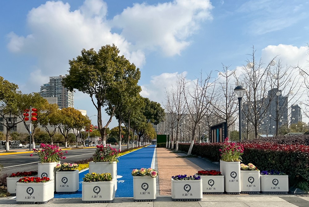 无锡太湖广场置景花钵