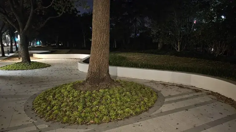 艺术混凝土弧形树池坐凳：夜色里的温柔边界，城市中的静谧港湾